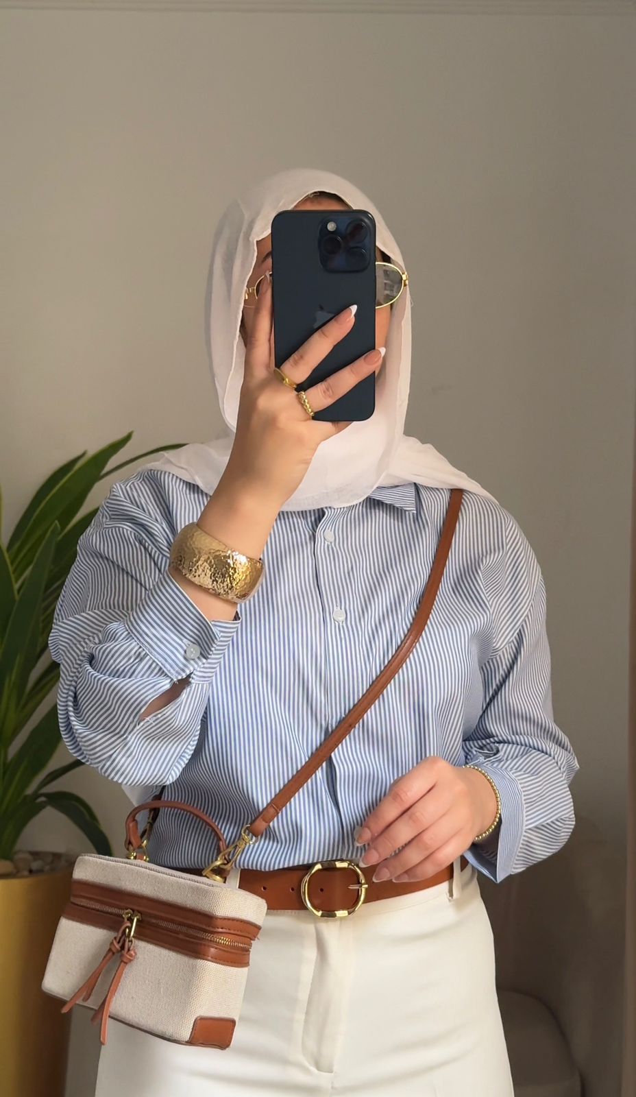 striped chemise image